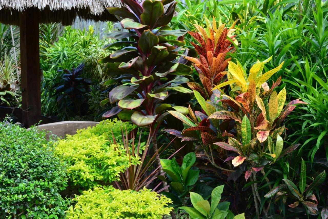 Chiisai Natsu Resort Bohol Extérieur photo